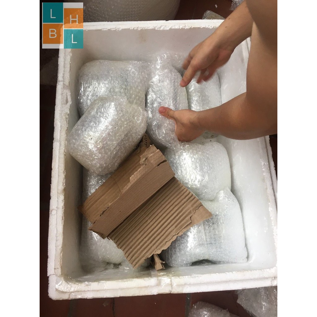 Bán Lẻ Bát Đĩa Bát Tràng Loại 1 Đủ Kích Thước