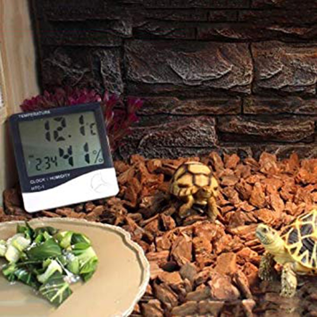 Khay đựng thức ăn/ nước uống hình tròn độc đáo tiện dụng cho rùa/ thằn lằn/ tắc kè