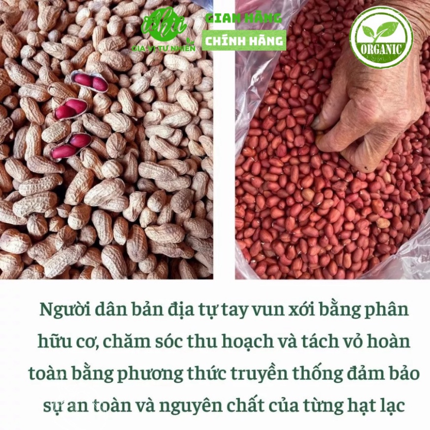 Lạc đỏ hữu cơ HOÀNG THU PHỐ, Lạc đỏ organic ICHII, Đậu phộng đạt tiêu chuẩn VIETGAP gói 500g