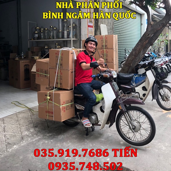 Bình ngâm rượu thủy tinh Hàn Quốc 0.66L NO.29| Mẫu mới