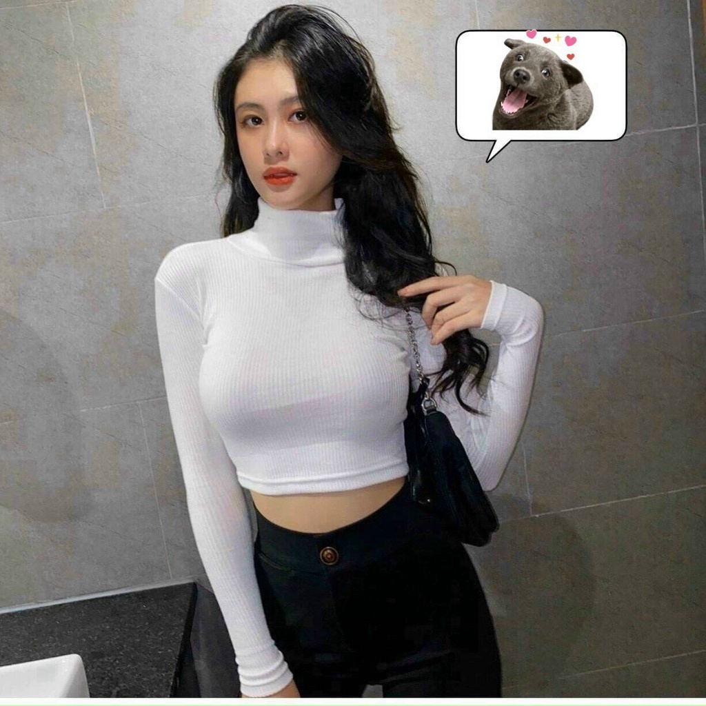 ÁO CROPOP NỮ CỔ LỌ DÀI TAY CHẤT THUN GÂN CAO CẤP MÀU TRẮNG ĐEN TÔN DÁNG ĐỈNH CAO HOT HIT CÁ TÍNH NITIQC