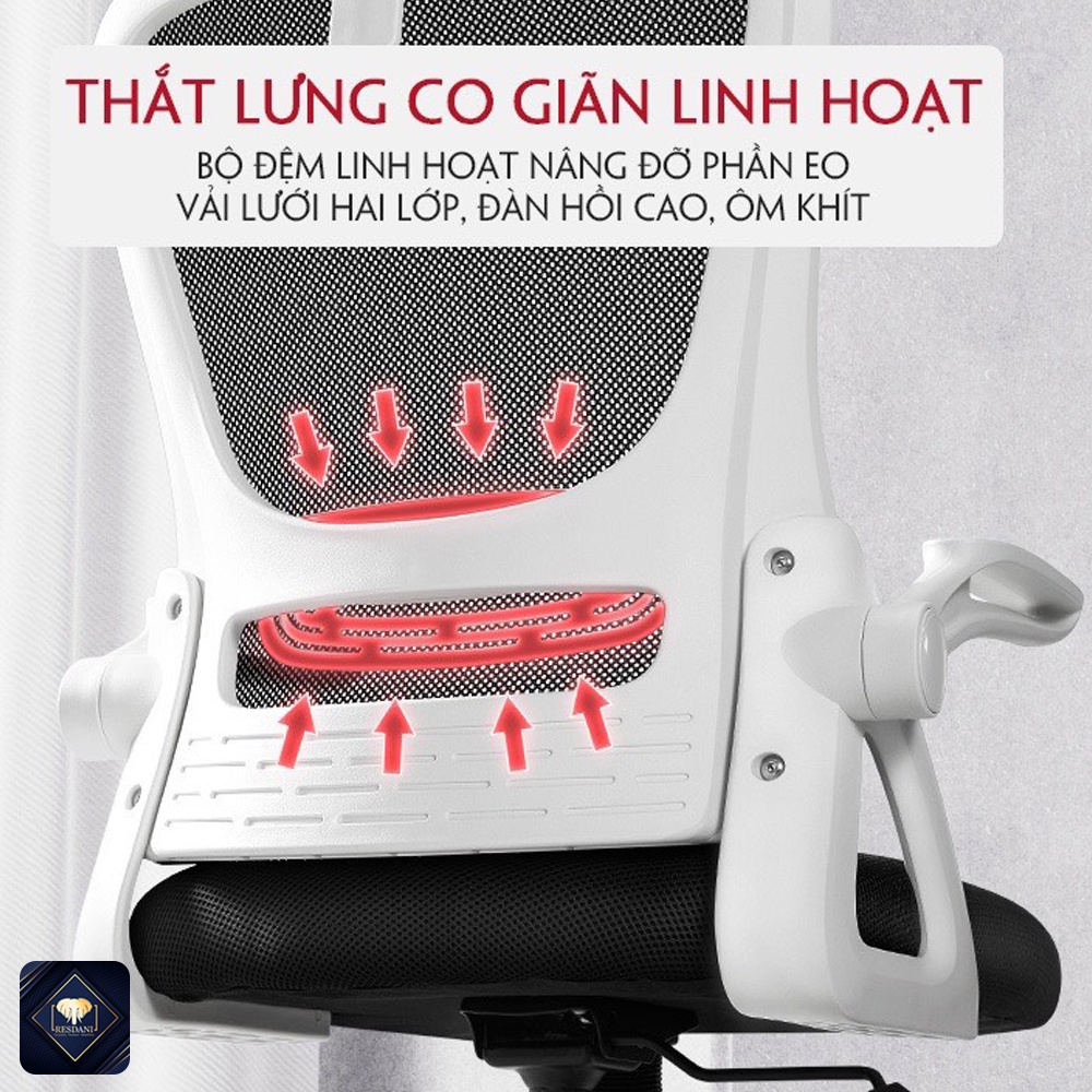 Ghế Xoay Văn Phòng Công Thái Học Resdani ,Làm Việc GXCD11(Có Video Sản Phẩm)