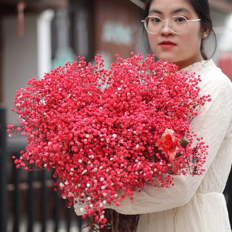 Hoa baby khô ướp màu, Hoa khô Gypsophila trang trí phòng ngủ, làm đồ hanmade, chụp hình cưới siêu xinh