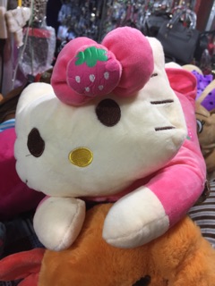 Túi sưởi hình thú bông