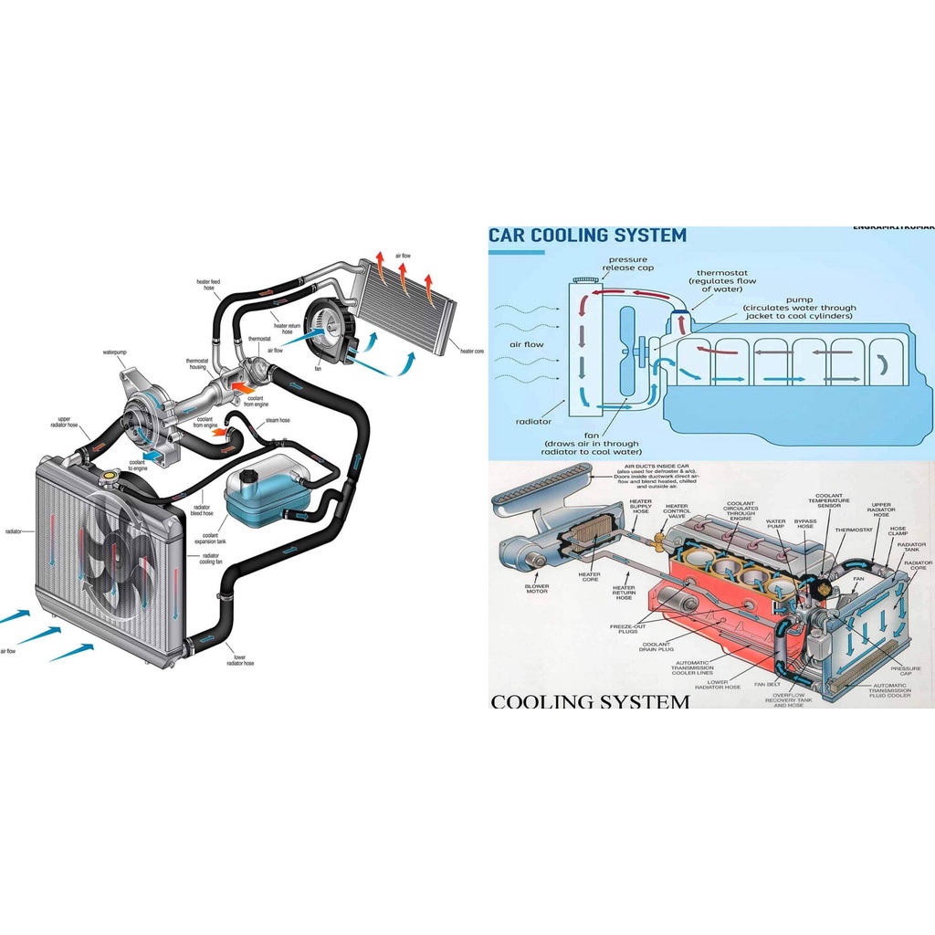 FORD Motorcraft Long Life Coolant Yellow 4 Lít