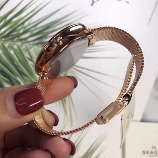 Đồng hồ nữ Skagen SKW2373