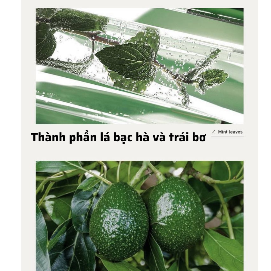 Dầu Gội Đầu Chiết Xuất Lá Bạc Hà Và Trái Bơ Mát Lạnh Nuôi dưỡng Da Đầu Giúp Tóc Bóng Khỏe ZUZU