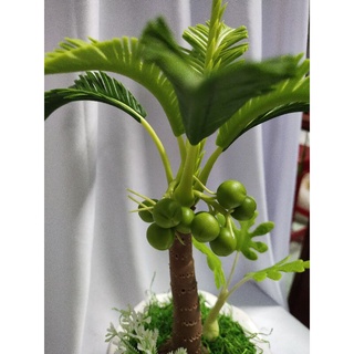 Chậu dừa đất sét cao 35cm