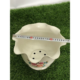 chậu ly bèo