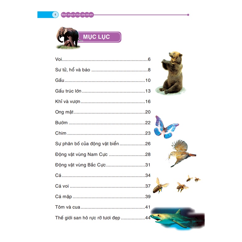 Sách - Động vật thực vật(Bách khoa tri thức cho trẻ em)(bìa cứng)