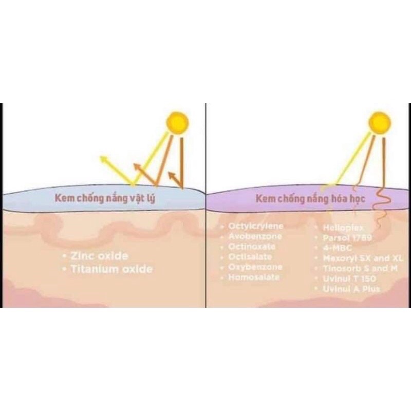 Kem Tím chamomileskill
