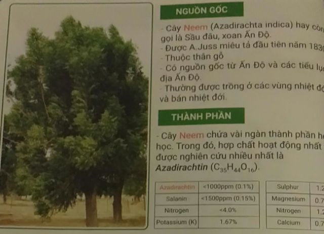 Than củi xoan 1kg