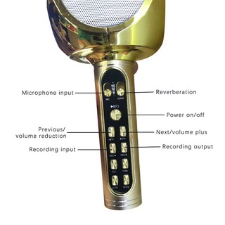Mic hát Karaoke YS-90