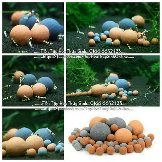 Viên Beeball cho hồ tép viên lớn