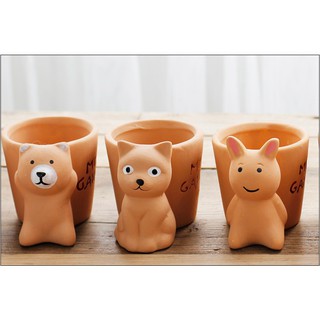 Chậu trồng cây mini
