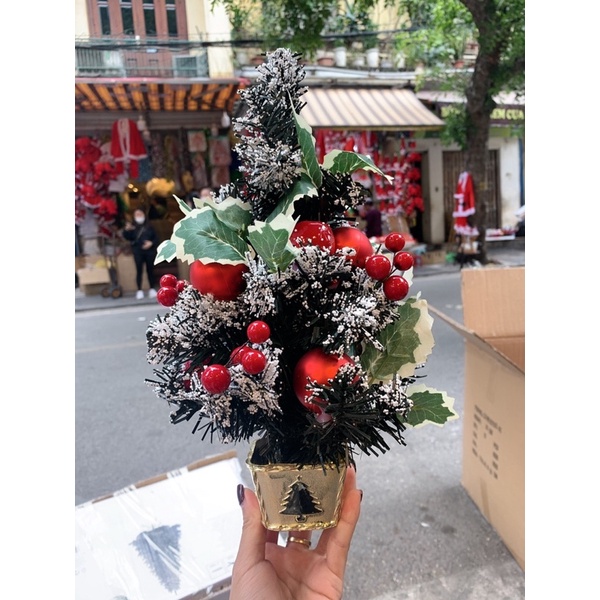 CÂY THÔNG MINI TRANG TRÍ