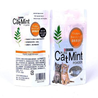 catmint cho mèo