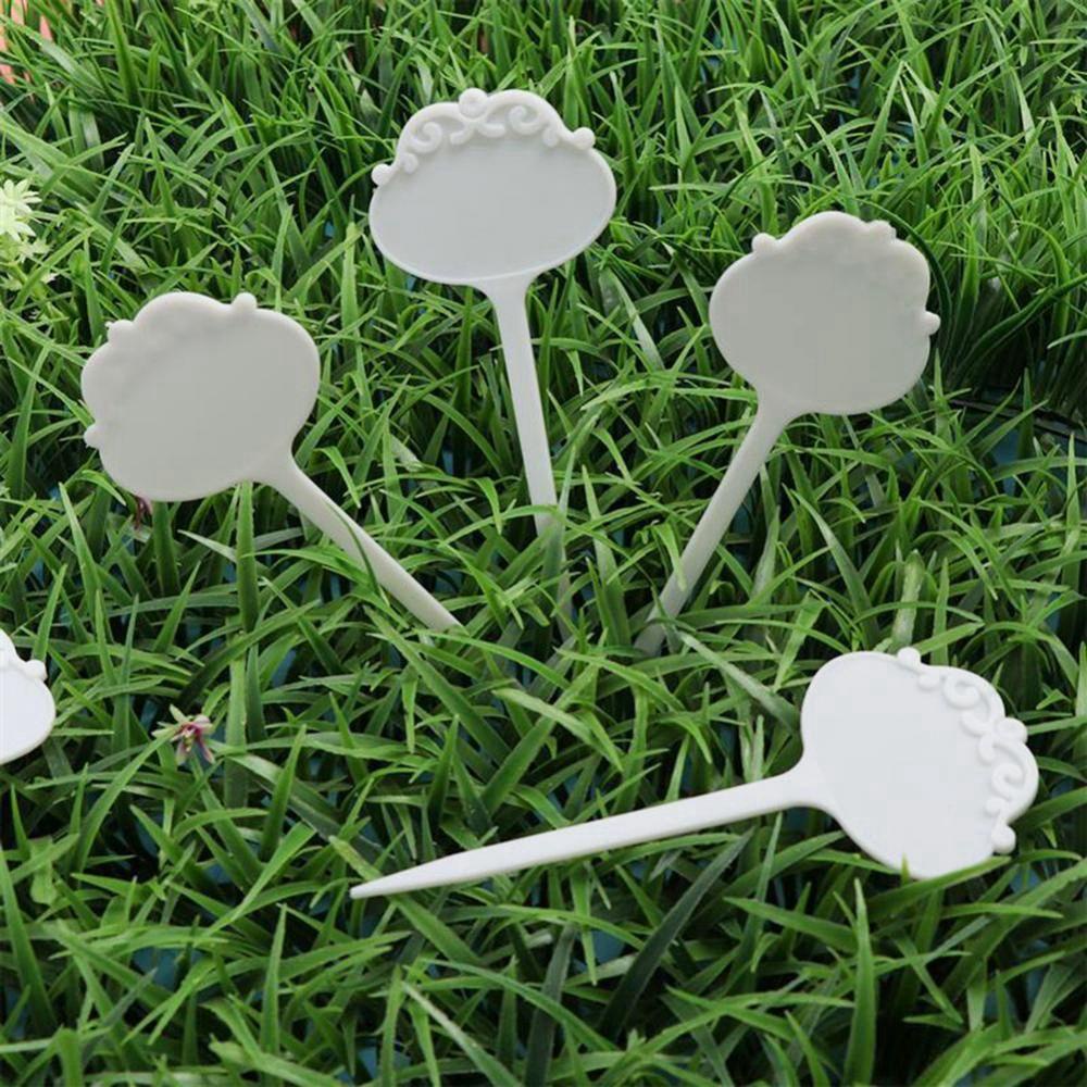 Set 20 Thẻ Phân Loại Cây Trồng DIY Tiện Dụng