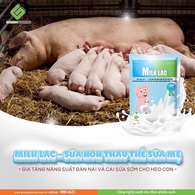 1 kg MILK LAC - Sữa non thay thế sữa mẹ cho chó, mèo, heo con, dê con và gia súc khác