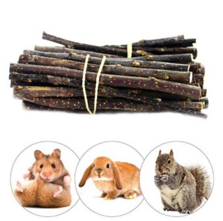 Cành táo, mài răng hamster, sóc, thỏ, bọ...