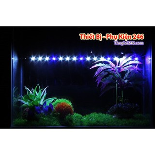 Đèn thủy sinh màu Trắng Xanh, đèn hồ cá màu trắng xanh , đèn led hồ cá từ 20 - 150 màu trắng xanh có nút tắt mở