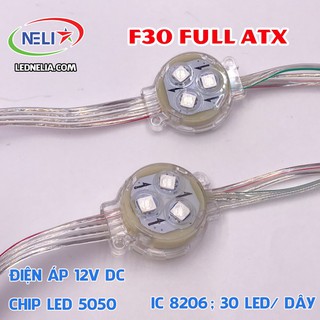 [DÂY 30 CỤM] LED full phi 30mm IC 8206 - tự nháy không cần card điều khiển