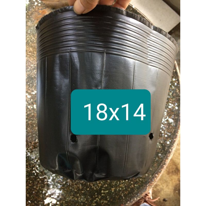 CHẬU TRỒNG HOA ƯƠM CÂY 23x18