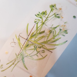Chiết washi tape hoạ tiết hoa lá