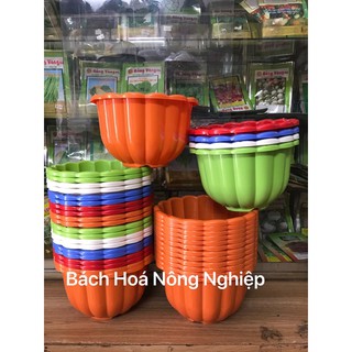 combo 40 chậu treo trái bí size 22 cm ( kèm dây nhựa)
