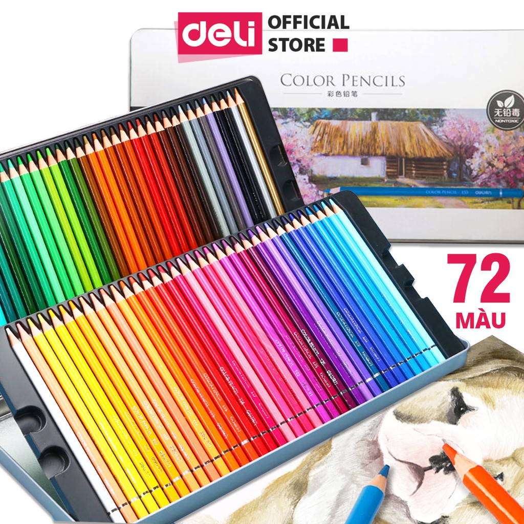 Bút chì màu gốc dầu cao cấp Deli - gỗ tự nhiên - 24/ 36/ 48/72 Màu - 6565 / 6566 / 6567 / 6568