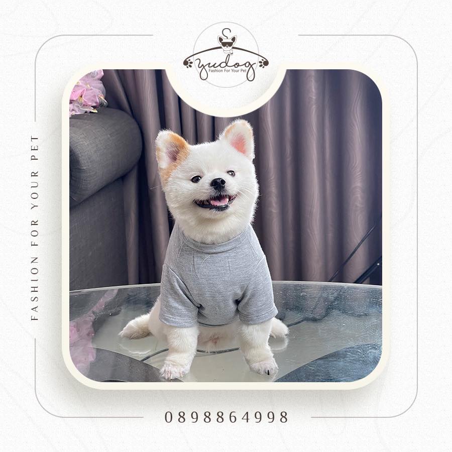 Áo thun có tay dập ly kèm nơ cho thú cưng yudog