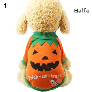 Bộ Đồ Hóa Trang Halloween Cho Thú Cưng