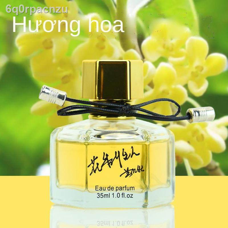 ( Sẵn)◑Hoa Quế Lâm dễ chịu nước osmanthus hương thơm ngọt ngào đích thực Liu Sanjie set Jin Gui Yin Dan Four Seasons Miễ