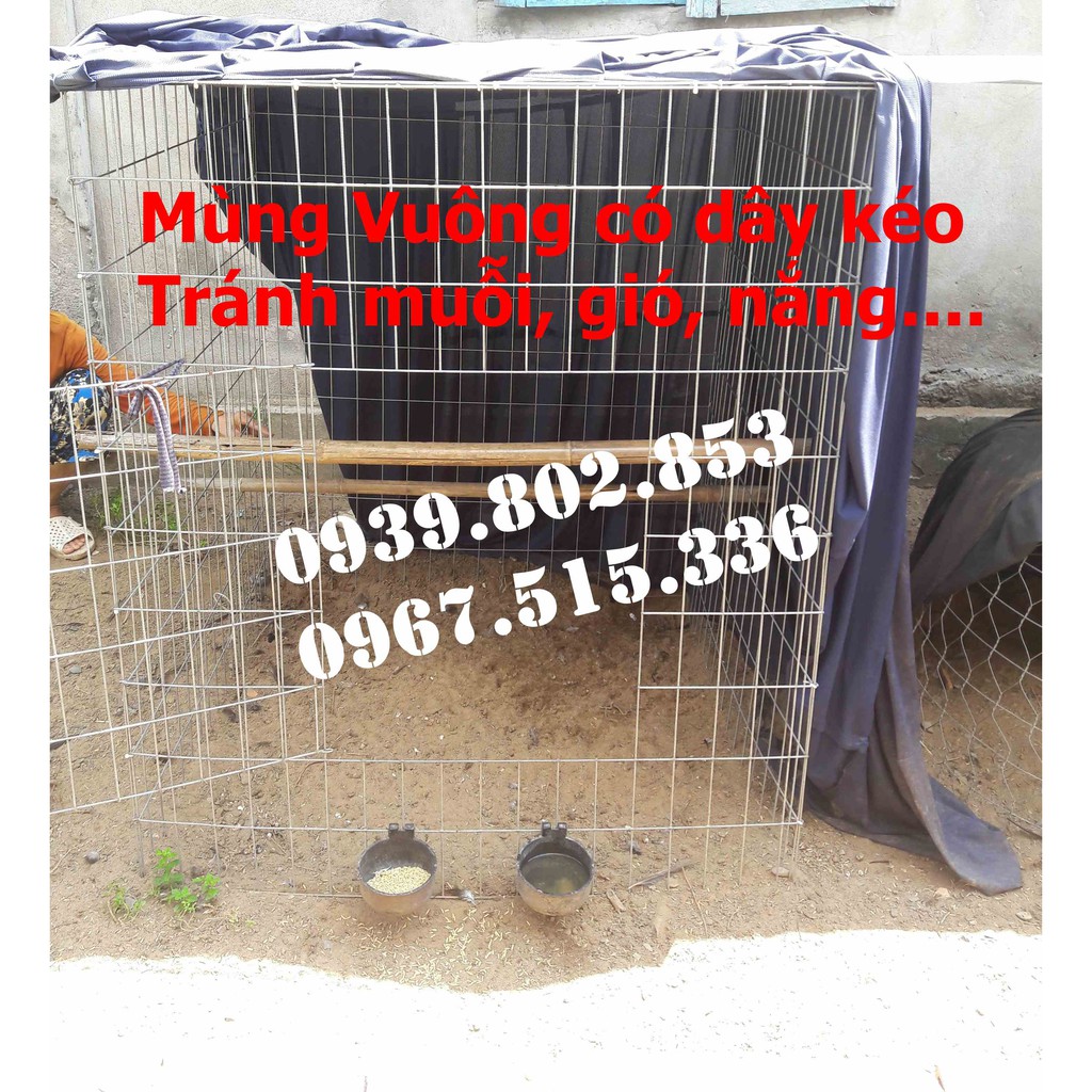 Mùng gà vuông các kích thước có dây kéo tránh mưa + tránh muỗi
