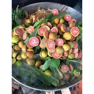 DẦU GỘI THẢO DƯỢC QUÊ NHÀ