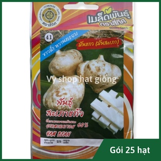 Hạt giống củ đậu cao sản Thái Lan gói 25 hạt