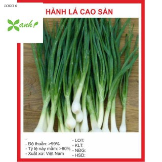 Hạt giống Hành lá 50 hạt