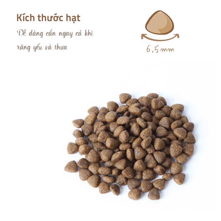 Thức Ăn Hạt Cho Mèo Con NATURAL CORE KITTEN Gói 400g