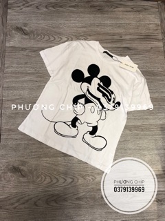 Các mẫu phông