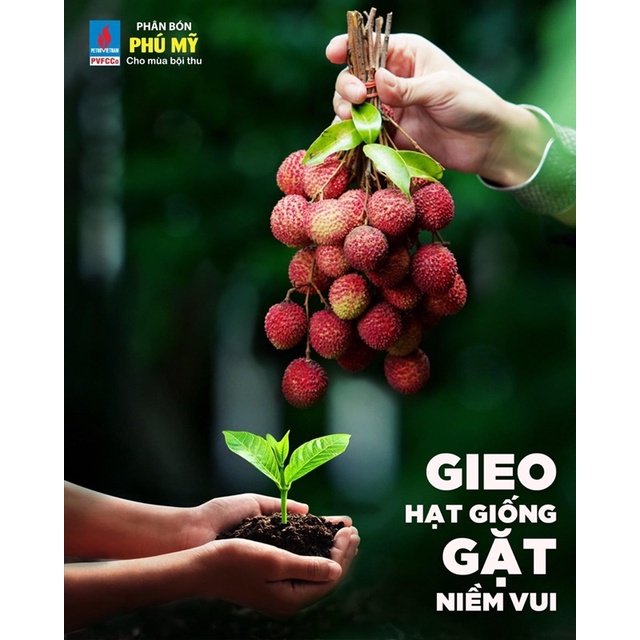 Phân bón Yara Mixa UNIK 16 , chuyên dùng giai đoạn ra hoa, đậu trái và nuôi trái.
