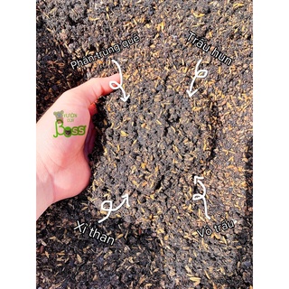 Đất trồng sen đá, xương rồng - 1kg