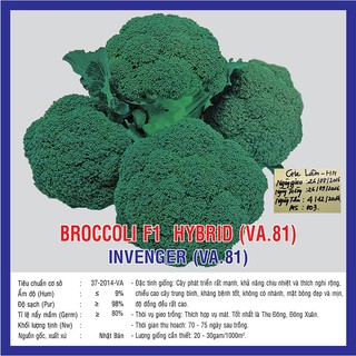 Hạt giống Súp Lơ Xanh F1 Invenger (VA.81) – 3.300 Hạt