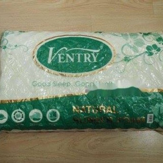 Gối cao su Ventry Thái Lan