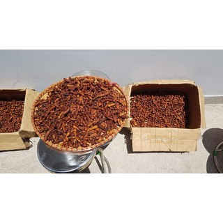 ME LÀO CHẤM MUỐI TÔM 500g