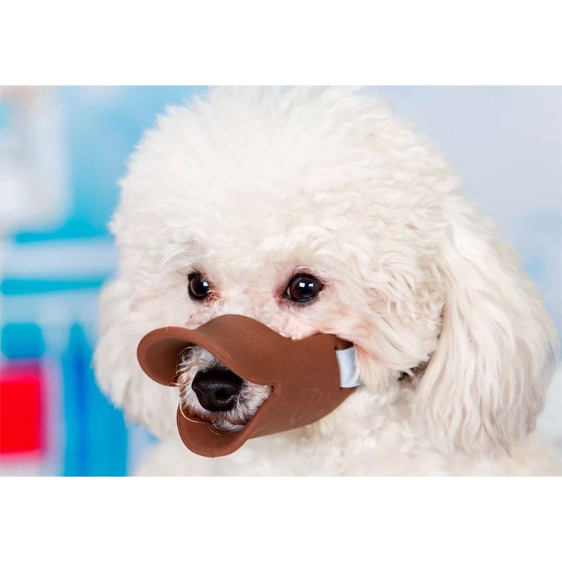 Mõm cho chó Mõm vịt dễ thương Mặt nạ cho chó Mõm Petty Chống vết cắn Ngừng sủa Con chó lớn nhỏ Miệng Mõm cho chó cưng Phụ kiện cho chó cưng