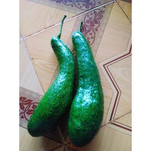 Bơ 034 1kg Đắc lắc #034. Không chuyển phía Nam chỉ thị 16. | BigBuy360 - bigbuy360.vn