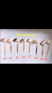 Trâm cài tóc bằng vỏ ốc và sừng
