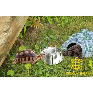 Máng ăn inox cao cấp dành cho bò sát