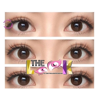 Lens Kính Sát Tròng Series Choco - Socola