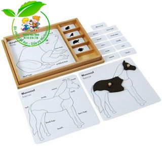 Bộ thẻ học 3 phần động vật - Animal Puzzle Activity Set